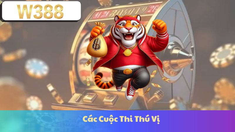 Các Cuộc Thi Thú Vị