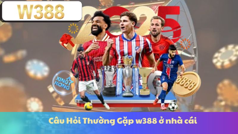 Câu Hỏi Thường Gặp w388 ở nhà cái