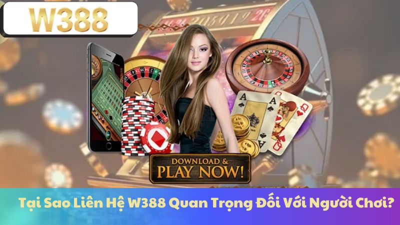 Tại Sao Liên Hệ W388 Quan Trọng Đối Với Người Chơi?