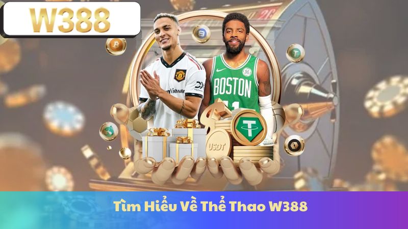 Tìm Hiểu Về Thể Thao W388