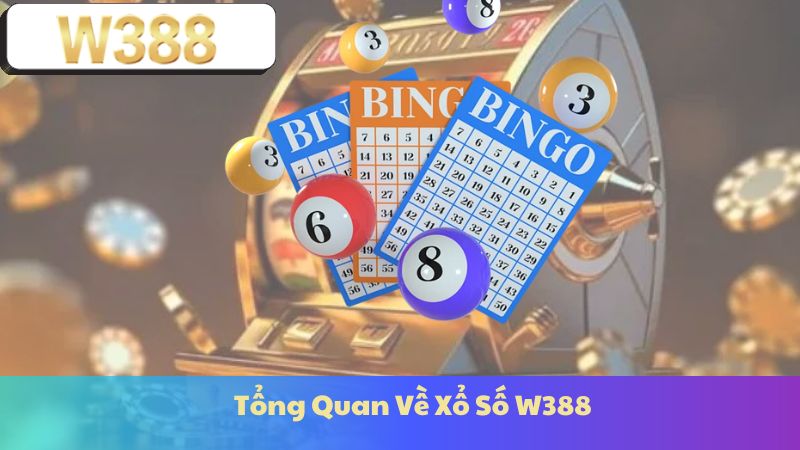 Tổng Quan Về Xổ Số W388